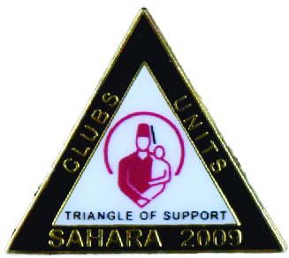 Triangle Shaped Pin