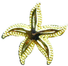 Starfish Pin