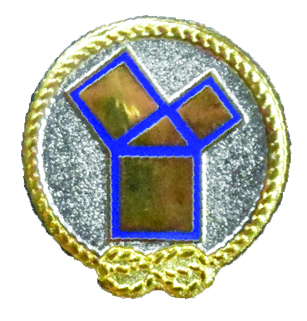 Standard Pin